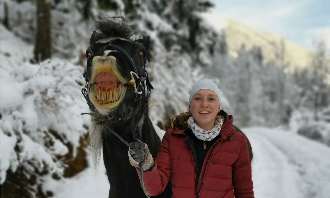 Dürfen Pferde Weihnachtsbäume fressen?